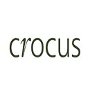 Crocus